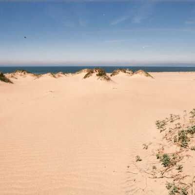 Guadalupe Dunes Preserve aka Rancho Guadalupe Beach County Park, "Mussel Rock Dunes and Guadalupe Beach" February 1995