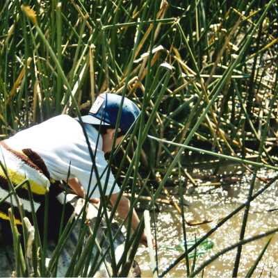 Unspecified Elementary School Field Trip 2001; 3