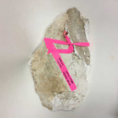 Parts of Albin's (Shpinx) body, no head attached, Ten Commandments