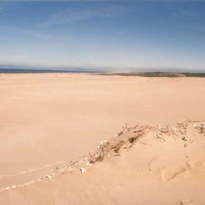 Guadalupe Dunes Preserve aka Rancho Guadalupe Beach County Park, February 1995