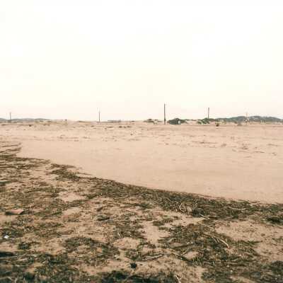 Guadalupe Dunes Preserve aka Rancho Guadalupe Beach County Park, February 1995