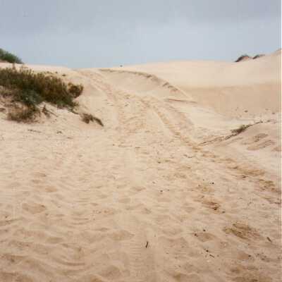 Oso Flaco Lake Color Photograph