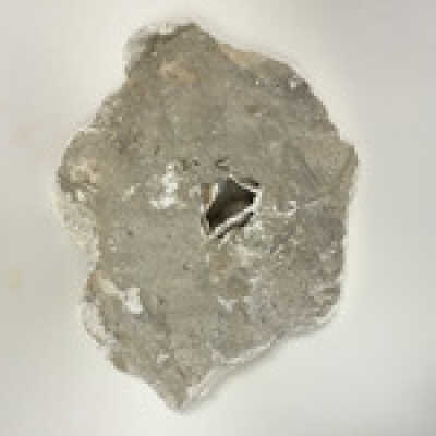 Parts of Albin's (Shpinx) body, no head attached, Ten Commandments