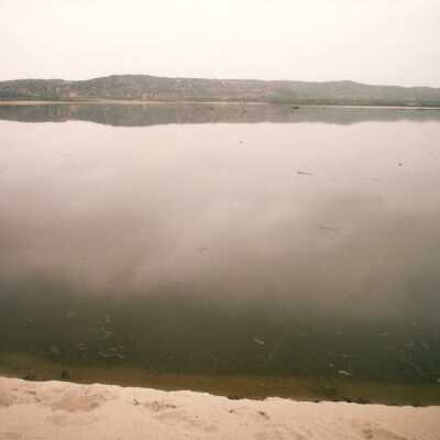 Guadalupe Dunes Preserve aka Rancho Guadalupe Beach County Park, February 1995