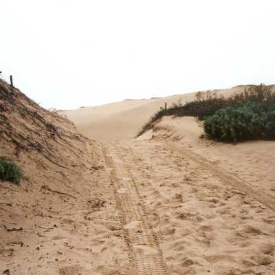 Oso Flaco Lake Color Photograph