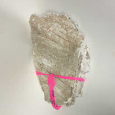 Parts of Albin's (Shpinx) body, no head attached, Ten Commandments