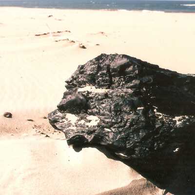 Guadalupe Dunes Preserve aka Rancho Guadalupe Beach County Park, "A large chunk of rock-hard oil which broke off of underwater cliffs off Mussel Rock and then washed up on Guadalupe Beach