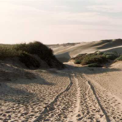 Oso Flaco Lake Color Photograph