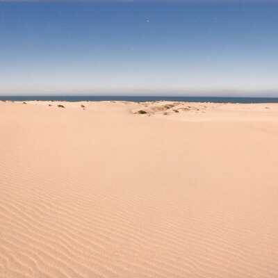 Guadalupe Dunes Preserve aka Rancho Guadalupe Beach County Park