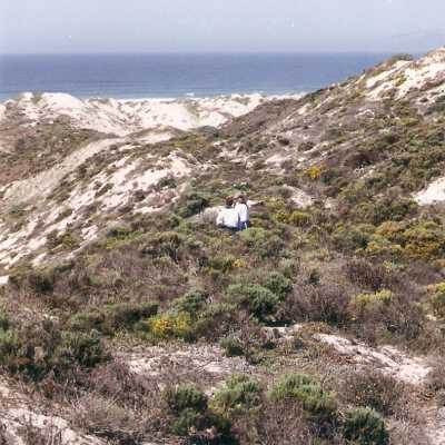 Mobil preserve hike 9/97. Docent Hal Schartz.