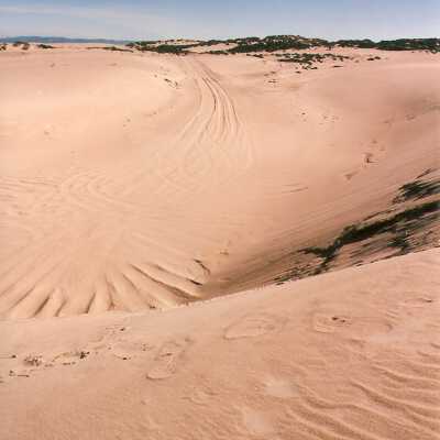 Guadalupe Dunes Preserve aka Rancho Guadalupe Beach County Park