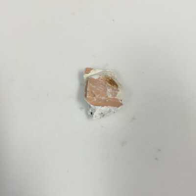 Sphinx breast fragments