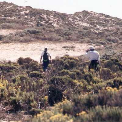 Mobil preserve hike 9/97. Docent Hal Schartz.