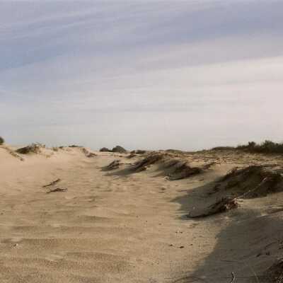 Oso Flaco Lake Color Photograph