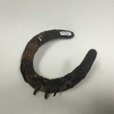 Horseshoe, Ten Commandments