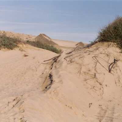 Oso Flaco Lake Color Photograph