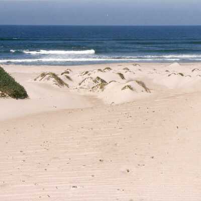 Guadalupe Dunes Preserve aka Rancho Guadalupe Beach County Park