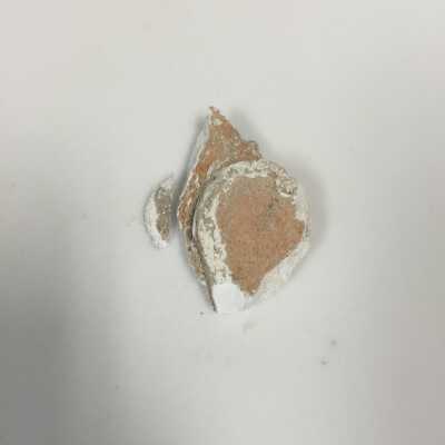 Sphinx breast fragments