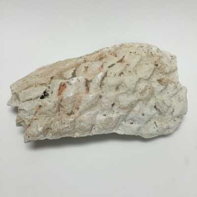 Sculpture - Misc