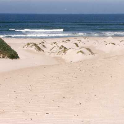 Guadalupe Dunes Preserve aka Rancho Guadalupe Beach County Park
