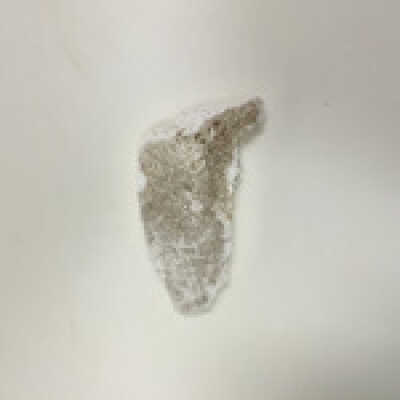 Parts of Albin's (Shpinx) body, no head attached, Ten Commandments