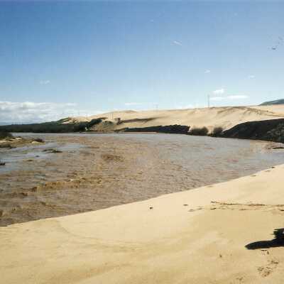 Guadalupe Dunes Preserve aka Rancho Guadalupe Beach County Park