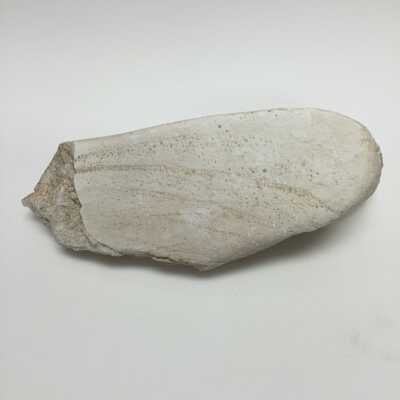 Sculpture - Misc