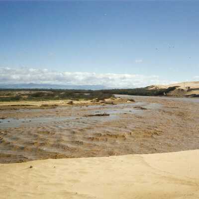Guadalupe Dunes Preserve aka Rancho Guadalupe Beach County Park
