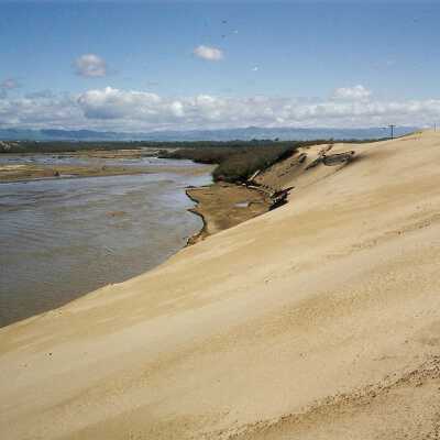 Guadalupe Dunes Preserve aka Rancho Guadalupe Beach County Park