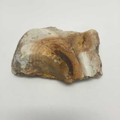 Sculpture - Misc