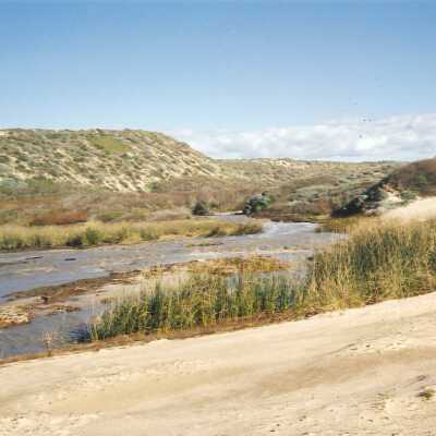 Guadalupe Dunes Preserve aka Rancho Guadalupe Beach County Park