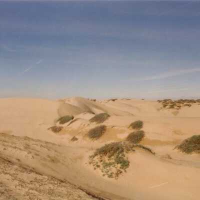 Oso Flaco Lake Color Photograph