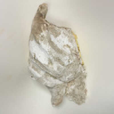 Parts of Albin's (Shpinx) body, no head attached, Ten Commandments
