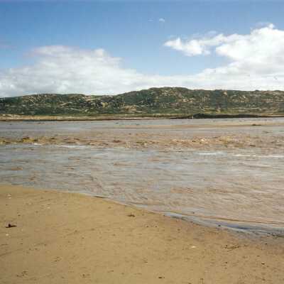 Guadalupe Dunes Preserve aka Rancho Guadalupe Beach County Park
