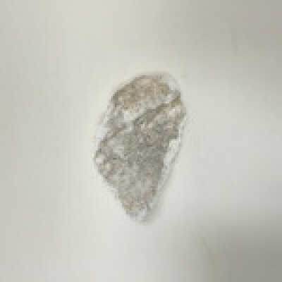 Parts of Albin's (Shpinx) body, no head attached, Ten Commandments