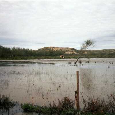 Guadalupe Dunes Preserve aka Rancho Guadalupe Beach County Park