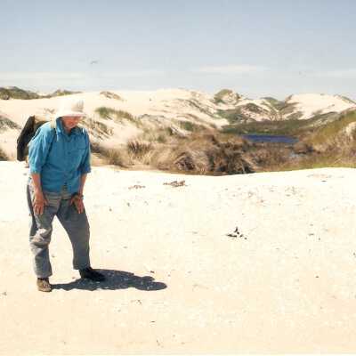 Carla Levesque surveying a midden near Oso Flaco.