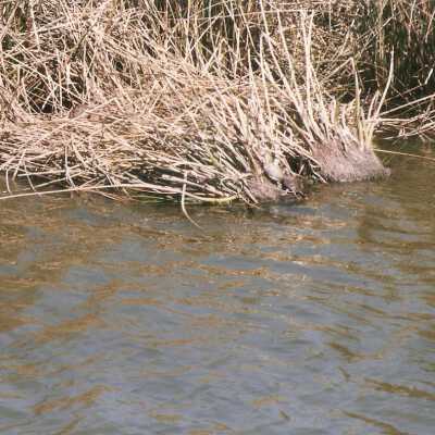 Oso Flaco Lake Color Photograph