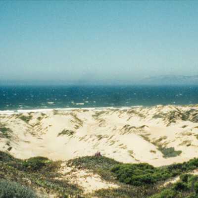 11.5" x 4" panoramic undated photograph of Oso Flaco Lake area