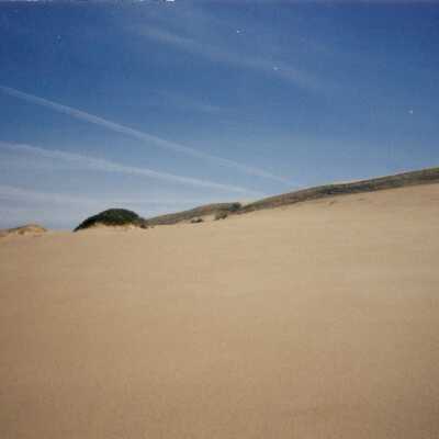 Guadalupe Dunes Preserve aka Rancho Guadalupe Beach County Park