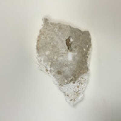 Parts of Albin's (Shpinx) body, no head attached, Ten Commandments