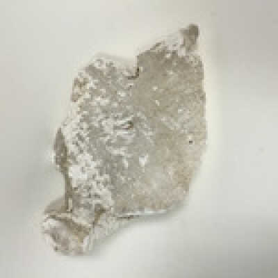 Parts of Albin's (Shpinx) body, no head attached, Ten Commandments