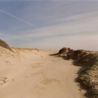 Oso Flaco Lake Color Photograph