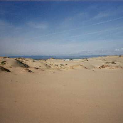 Guadalupe Dunes Preserve aka Rancho Guadalupe Beach County Park