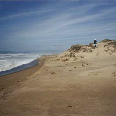 Guadalupe Dunes Preserve aka Rancho Guadalupe Beach County Park