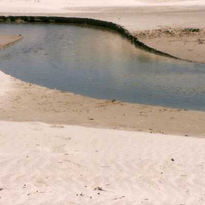 Oso Flaco Lake Color Photograph