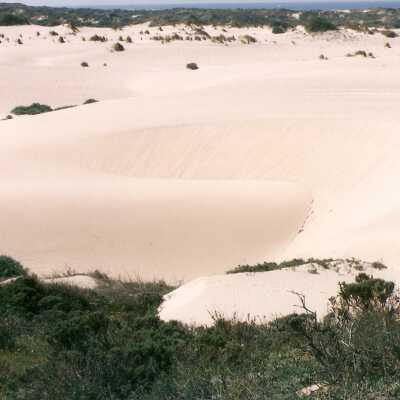 Oso Flaco Lake Color Photograph