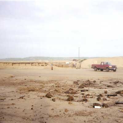 Guadalupe Dunes Preserve aka Rancho Guadalupe Beach County Park