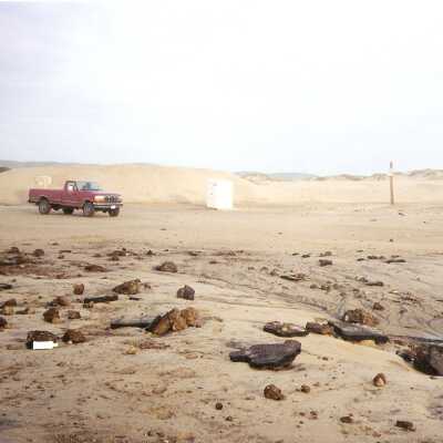 Guadalupe Dunes Preserve aka Rancho Guadalupe Beach County Park