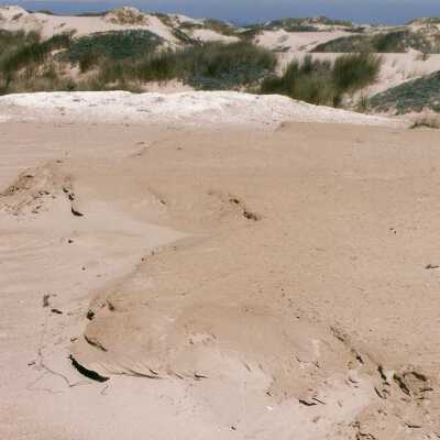 Oso Flaco Lake Color Photograph
